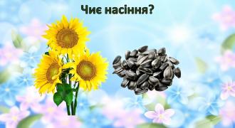/Files/images/2023_2024_n_r/starsha_grupa_b/IMG_20240422_202540.jpg